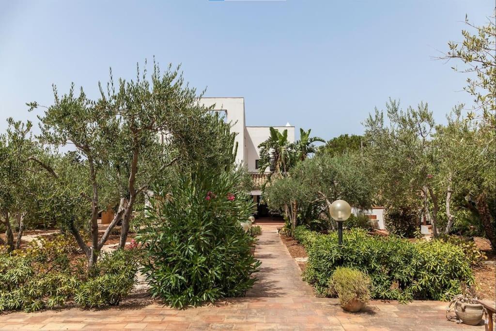 Cala Bianca Villa Castellammare del Golfo Buitenkant foto